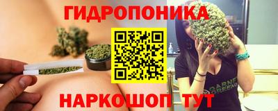 ГАЛЛЮЦИНОГЕННЫЕ ГРИБЫ Гусев