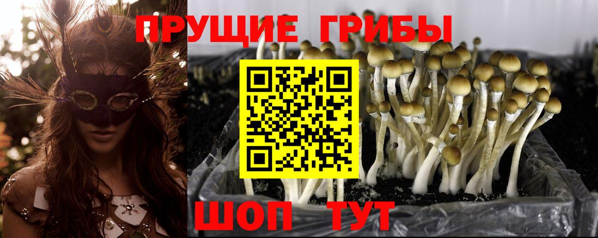 Псилоцибиновые грибы Magic Shrooms  Вход с VPN  Назрань 